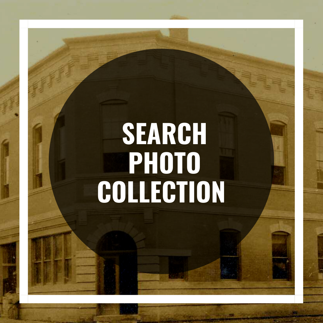 Photo Collection Search